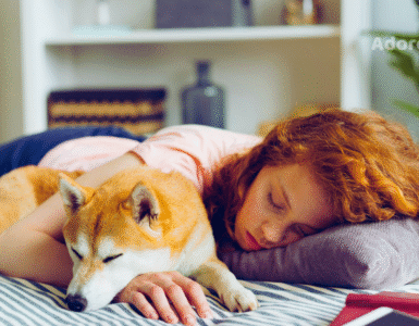 Dormir melhor agora: as infusões naturais que funcionam de verdade 4 Chás para dormir melhor 2